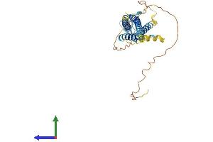Protein Structure (PS) image for Calcium Channel, Voltage-Dependent, gamma Subunit 3 (CACNG3) (AA 1-315) protein (His tag) (ABIN7561611)