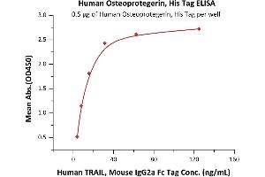 Immobilized Human Osteoprotegerin, His Tag (ABIN2181848,ABIN2181847) at 5 μg/mL (100 μL/well) can bind Human TRAIL, Mouse IgG2a Fc Tag (ABIN6933657,ABIN6938881) with a linear range of 0. (Osteoprotegerin Protein (AA 22-401) (His tag))
