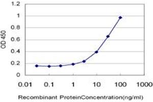 Detection limit for recombinant GST tagged HUNK is approximately 1ng/ml as a capture antibody. (HUNK Antikörper  (AA 615-714))