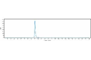 The purity of Anti- Human CLDN18. (Rekombinanter CLDN18.2 (Zolbetuximab Biosimilar) Antikörper)