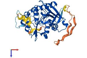 ABHD17C Protein (AA 1-329) (His tag)