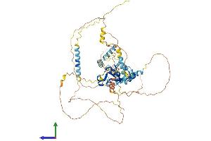 AlphaFold protein structure predicition of Mouse Recombinant Ncbp3 Protein, UniprotID Q8BZR9