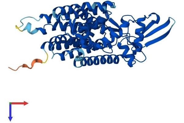 DPAGT1 Protein (AA 1-410) (His tag)