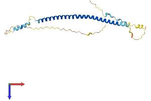 BLOC1S4 Protein (AA 1-217) (His tag)
