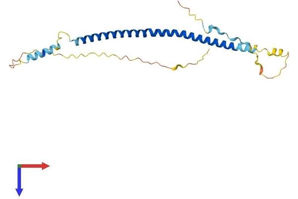 BLOC1S4 Protein (AA 1-217) (His tag)