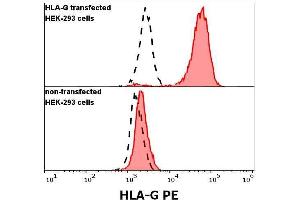 Anti-human HLA-G PE antibody (clone 5A6G7) specificity verification by flow cytometry Anti-human HLA-G PE (5A6G7) antibody (concentration in sample 3 μg/mL, red-filled histogram) binds specifically to HLA-G expressed in permeabilised HLA-G transfected HEK-293 cells (upper panel), but not in permeabilised non-transfected HEK-293 cells (lower panel).