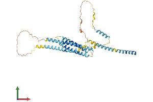 Protein Structure (PS) image for Syntaxin 5 (STX5) (AA 1-355) protein (His tag) (ABIN7559471)