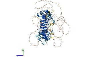 AlphaFold protein structure predicition of Mouse Recombinant Fbxo38 Protein, UniprotID Q8BMI0