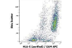 Flow cytometry surface staining pattern of HLA-G transfected LCL cells using anti-human HLA-G (01G) purified antibody (concentration in sample 16 μg/mL) GAM APC.