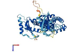 FUZ Protein (AA 1-415) (His tag)