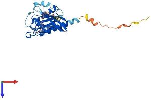 Rab3c Protein (AA 1-227) (His tag)