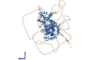 AlphaFold protein structure predicition of Human Recombinant SH2D3C Protein, UniprotID Q8N5H7