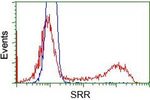HEK293T cells transfected with either pCMV6-ENTRY SRR (RC210359) (Red) or empty vector control plasmid (Blue) were immunostained with anti-SRR mouse monoclonal (ABIN2453687), and then analyzed by flow cytometry. (SRR Antikörper)