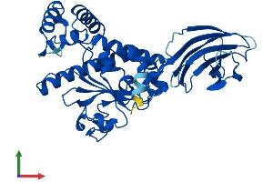 AlphaFold protein structure predicition of Human Recombinant SEC14L6 Protein, UniprotID B5MCN3