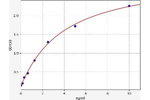 IKZF1 ELISA Kit