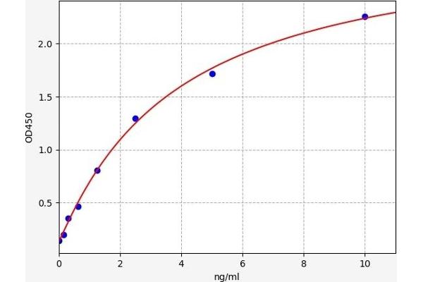 IKZF1 ELISA Kit