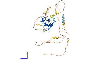 Protein Structure (PS) image for Forkhead Box J1 (FOXJ1) (AA 1-421) protein (His tag) (ABIN7547746)