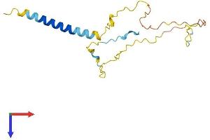 GAPT Protein (AA 1-157) (His tag)