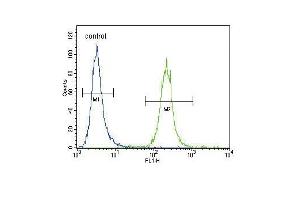 IREB2 Antibody (Center) (ABIN656586 and ABIN2845848) flow cytometric analysis of Hela cells (right histogram) compared to a negative control cell (left histogram).
