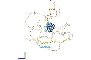 Protein Structure (PS) image for GRB2-Associated Binding Protein 3 (GAB3) (AA 1-586) protein (His tag) (ABIN7547883)