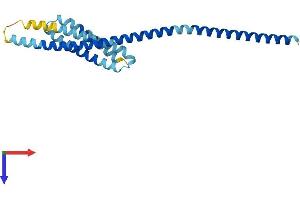 VTI1A Protein (AA 1-217) (His tag)