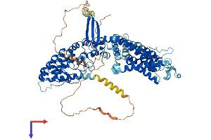 TRPV6 Protein (AA 1-767) (His tag)