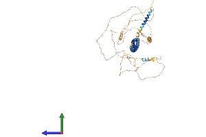 Protein Structure (PS) image for Leber Congenital Amaurosis 5 (LCA5) (AA 1-704) protein (His tag) (ABIN7558309)