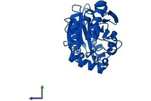 Protein Structure (PS) image for Phosphomannomutase 2 (PMM2) (AA 1-242) protein (His tag) (ABIN7556439)