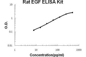 Rat EGF PicoKine ELISA Kit standard curve