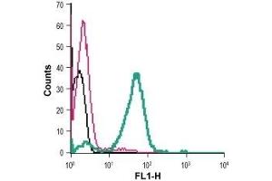 Cell surface detection of CRTH2 in live intact mouse P815 mast cells: (black line) Cells. (Prostaglandin D2 Receptor 2 (PTGDR2) (AA 270-283), (Extracellular) Antikörper)
