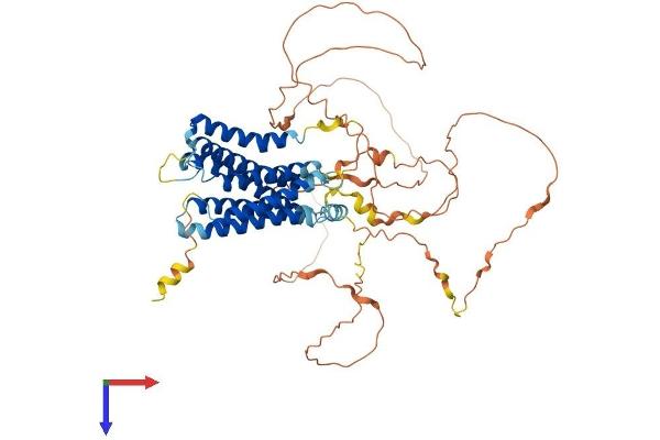 GPR123 Protein (AA 1-578) (His tag)
