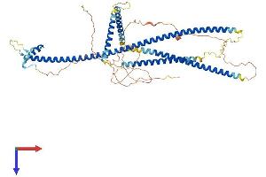 SSX2IP Protein (AA 1-614) (His tag)