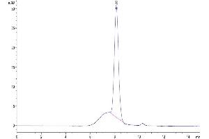 Size-exclusion chromatography-High Pressure Liquid Chromatography (SEC-HPLC) image for CD200 Receptor 1 (CD200R1) (AA 27-266) protein (His-Avi Tag) (ABIN7274117)