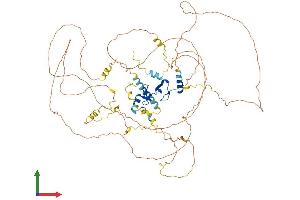 Protein Structure (PS) image for LIM Domain and Actin Binding 1 (LIMA1) (AA 1-753) protein (His tag) (ABIN7561434)
