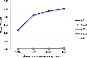 ELISA plate was coated with purified rat IgG1, IgG2a, IgG2b, IgG2c, and IgM. (Maus anti-Ratte IgG1 (Fc Region) Antikörper (Biotin))