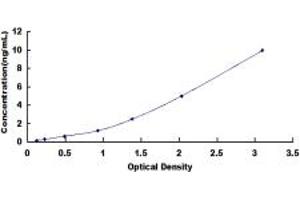 PDE1C ELISA Kit