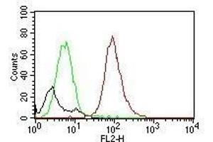 Flow Cytometry of NIH/3T3 cells. (CD63 Antikörper)