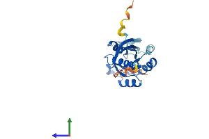 Protein Structure (PS) image for RAB43, Member RAS Oncogene Family (RAB43) (AA 1-212) protein (His tag) (ABIN7551156)