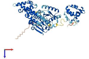 EHD4 Protein (AA 1-541) (His tag)