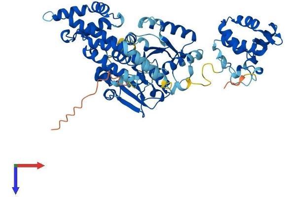 EHD4 Protein (AA 1-541) (His tag)