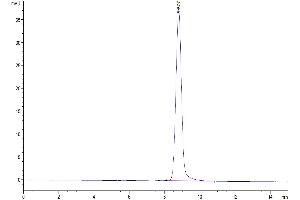 The purity of Human TFF1 is greater than 95 % as determined by SEC-HPLC. (TFF1 Protein (AA 25-84) (Fc Tag))