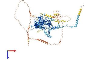 RSPH6A Protein (AA 1-717) (His tag)