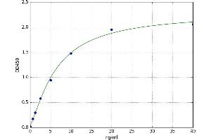 Neutrophil Peptide 1-3 (HNP1-3) ELISA Kit
