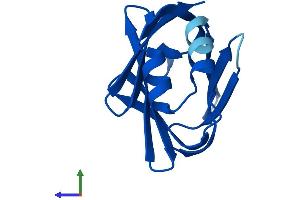 AlphaFold protein structure predicition of Human Recombinant FABP9 Protein, UniprotID Q0Z7S8