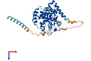 CHST10 Protein (AA 1-356) (His tag)