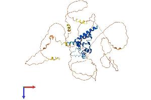AGFG1 Protein (AA 1-561) (His tag)