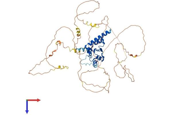 AGFG1 Protein (AA 1-561) (His tag)