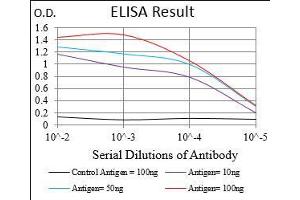 Black line: Control Antigen (100 ng), Purple line: Antigen(10 ng), Blue line: Antigen (50 ng), Red line: Antigen (100 ng), (XRCC6 Antikörper  (AA 6-214))