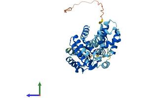Protein Structure (PS) image for Replication Factor C (Activator 1) 4, 37kDa (RFC4) (AA 1-364) protein (His tag) (ABIN7560300)