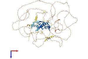 E2F7 Protein (AA 1-904) (His tag)